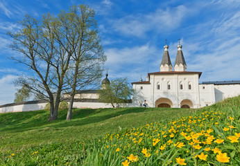 Christian monastery on hill and blooming meadows.