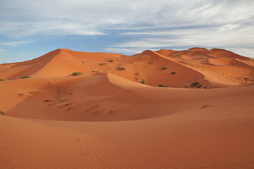 Fototapeta na wymiar Moroccan desert landscape with blue sky.