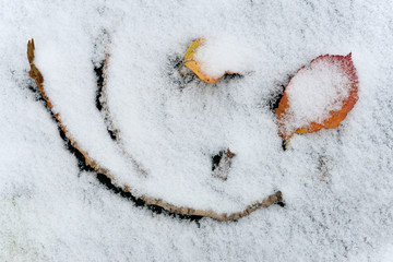 Unusual  natural background smile of autumn.