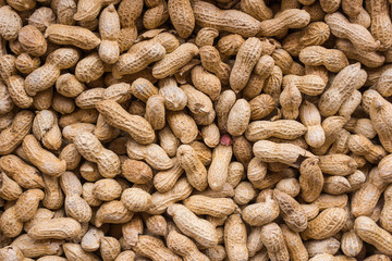 Peanuts seed. Many groundnuts in shells. Peanuts background