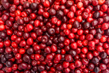 Sweet cherry background.  ripe cherries