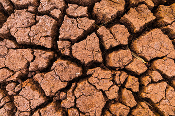Land with dry and cracked ground texture. Desert, hot climate, dry salt earth.