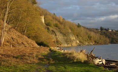Discovery Park Bluff
