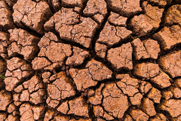 Land with dry and cracked ground texture. Desert, hot climate, dry salt earth.