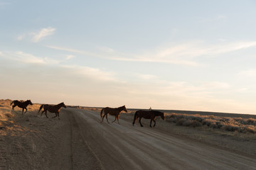Fototapeta na wymiar Wild Horse Scenic Loop near Rock Springs, Wyoming 