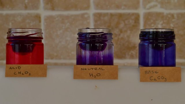 Red cabbage pH indicator melting in acid base and neutral solution. Formic acid (red), alkali sodium bicarbonate (blue) and neutral water (purple) showing property of anthocyanin in red cabbage juice