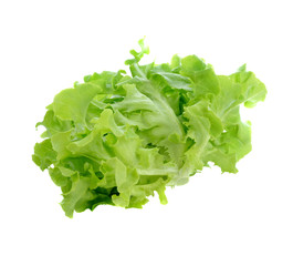 fresh lettuce leaves isolated on white background