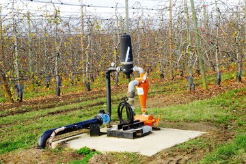 Système d'arrosage goutte à goutte pour arbres fruitiers