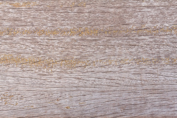 Wood texture, wood background for design with copy space for text or image. Wood motifs that occurs natural.
