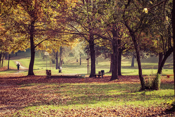 Running in the park in autumn