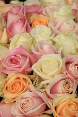 Pastel roses in a wedding arrangement