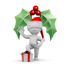 christmas mistletoe