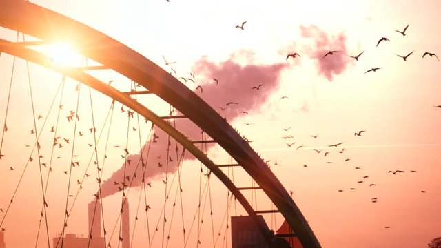 beautiful romantic background.