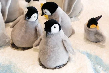 Schilderijen op glas pinguïn © kiyopayo