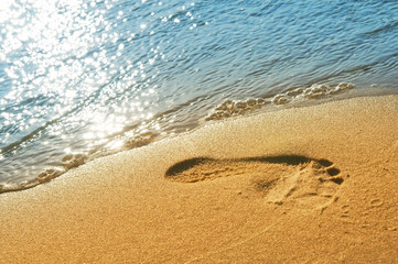 Lonely trace on sand.