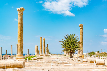 Fototapeta premium Al Mina archaeological site in Tyre, Lebanon. It is located about 80 km south of Beirut and has led to its designation as a UNESCO World Heritage Site in 1984.