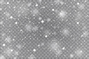 Winter with snow in transparent background