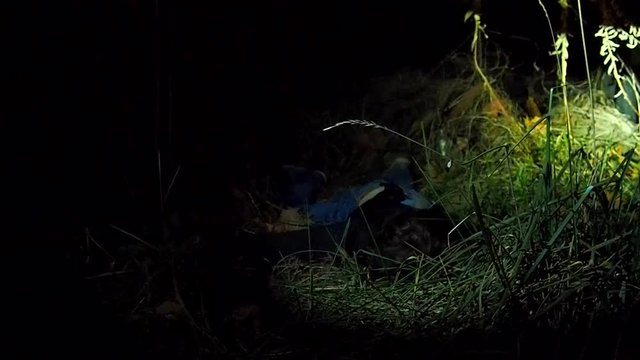 Body lying on the ground under crime scene tape
