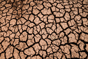 Land with dry and cracked ground texture. Desert, hot climate, dry salt earth.