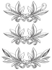 Fototapeta premium Laurel wreaths. Vector set of elements with laurel leaves at engraving style. 