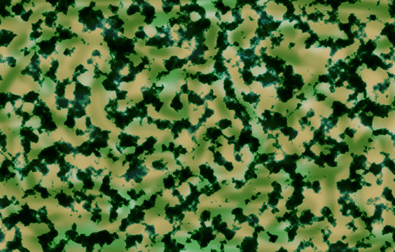 camouflage patterns background