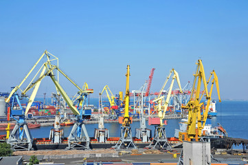 Fototapeta premium Bulk cargo ship under port crane