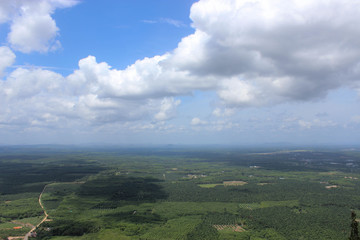 Aerial view of green jungle landscape with huge sky and clouds