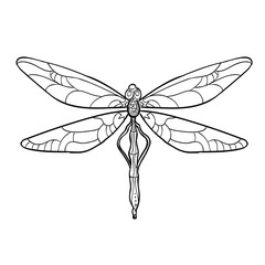 Elegant dragonfly silhouette at white background. Vector illustration.