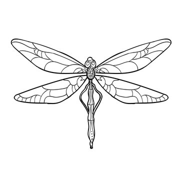Elegant dragonfly silhouette at white background. Vector illustration.