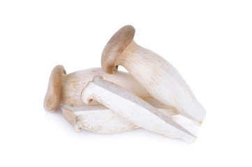 Eryngii mushroom or King oyster mushroom on a white background