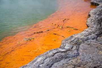 Colorful edge of Champagne Pool in Wai-O-Tapu geothermal park, Rotorua, New Zealand