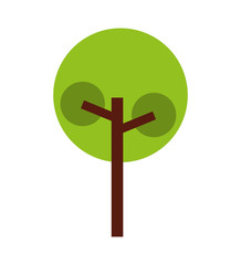 tree park flat isolated icon vector illustration design