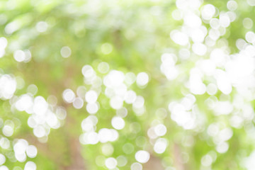 White and green nature bokeh circular shape, abstract background.