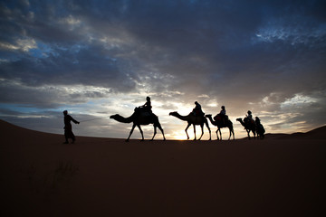 Fototapeta na wymiar Camel train silhouetted against colorful sky crossing the Sahara