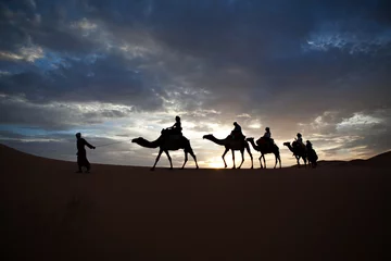 Foto auf Leinwand Camel train silhouetted against colorful sky crossing the Sahara © irmoske