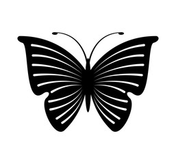 cute butterfly isolated icon vector illustration design