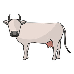Indian brown cow icon vector illustration graphic design