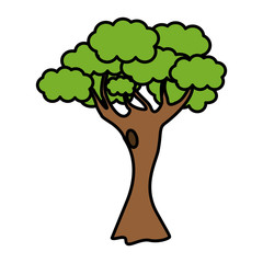 tree green nature icon vector illustration graphic design