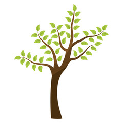 tree green nature icon vector illustration graphic design