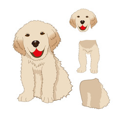 Puppy Golden Retriever Sitting, Baby Dog Labrador Smile. Greeting Card isolated on White Background. Vector Illustration.