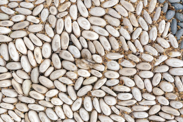 Masonry - wall cladding of white pebbles, background, texture