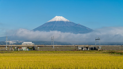 Mount Fuji and rice field at Fuji city, Japan.