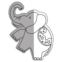 Circus elephant cartoon icon vector illustration graphic design
