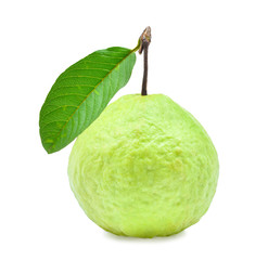 fresh green guava fruit isolated on white background