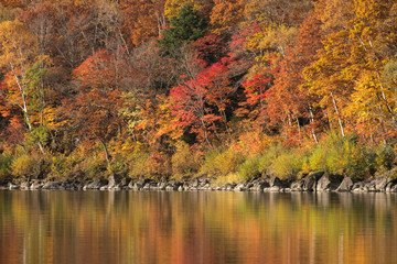 Fall season at Biwa pond on Mt.Shiga-kogen, Yamanouchi-machi, Shimotakai-gun, Nagano, Japan.