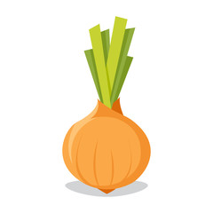 Onion icon in flat style. Isolated object. Vegetable from the garden. Organic food.