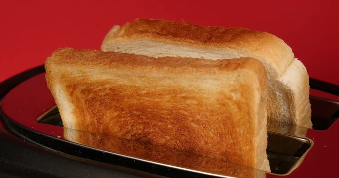 Roasted toast bread popping up from toaster 