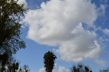 Cloudy Blue Sky