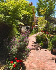 Obraz premium Kawiarnia