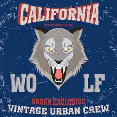 Obraz premium la wolf